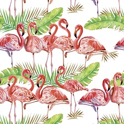 White - Flamingo Flocks